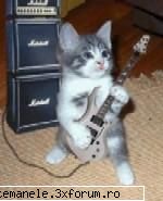 poze haioase =)) rock cat