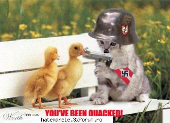 Poze haioase =)) - pei asta ar fi 1 :D - Sa vb despre tot si toate