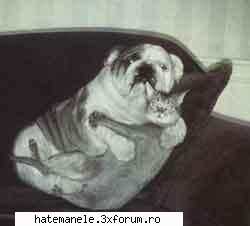 Poze haioase =)) - luv_simple_plan - Sa vb despre tot si toate